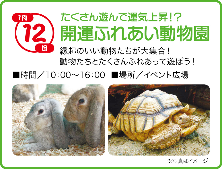 開運ふれあい動物園