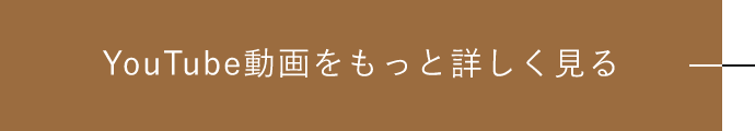 YouTube動画をもっと詳しく見る